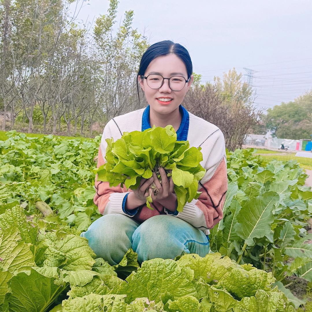耕泽农业~慧姐