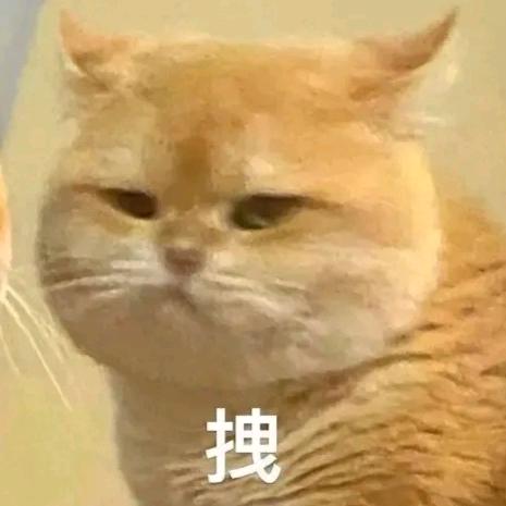肉蟹煲
