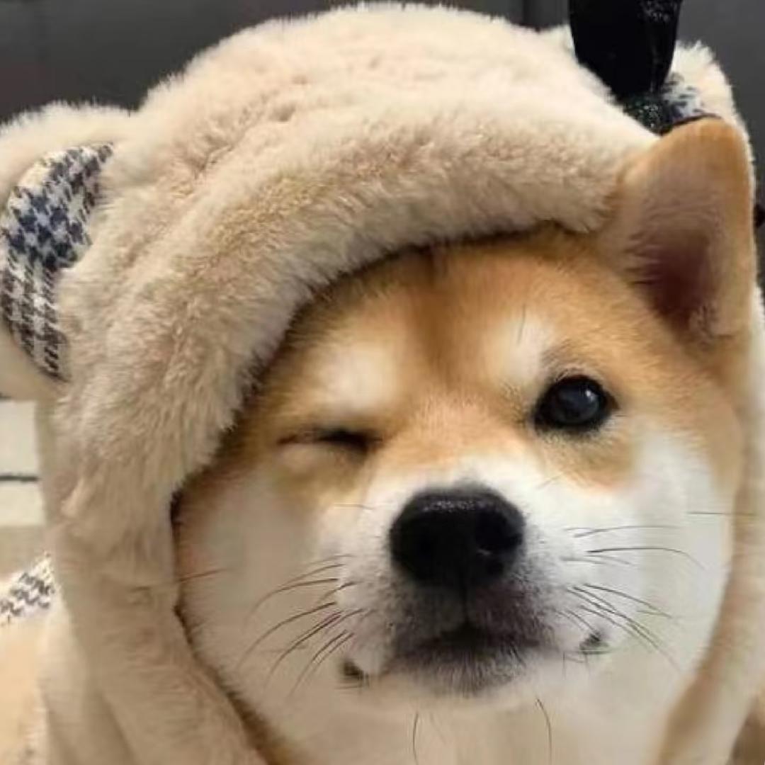 沐泽