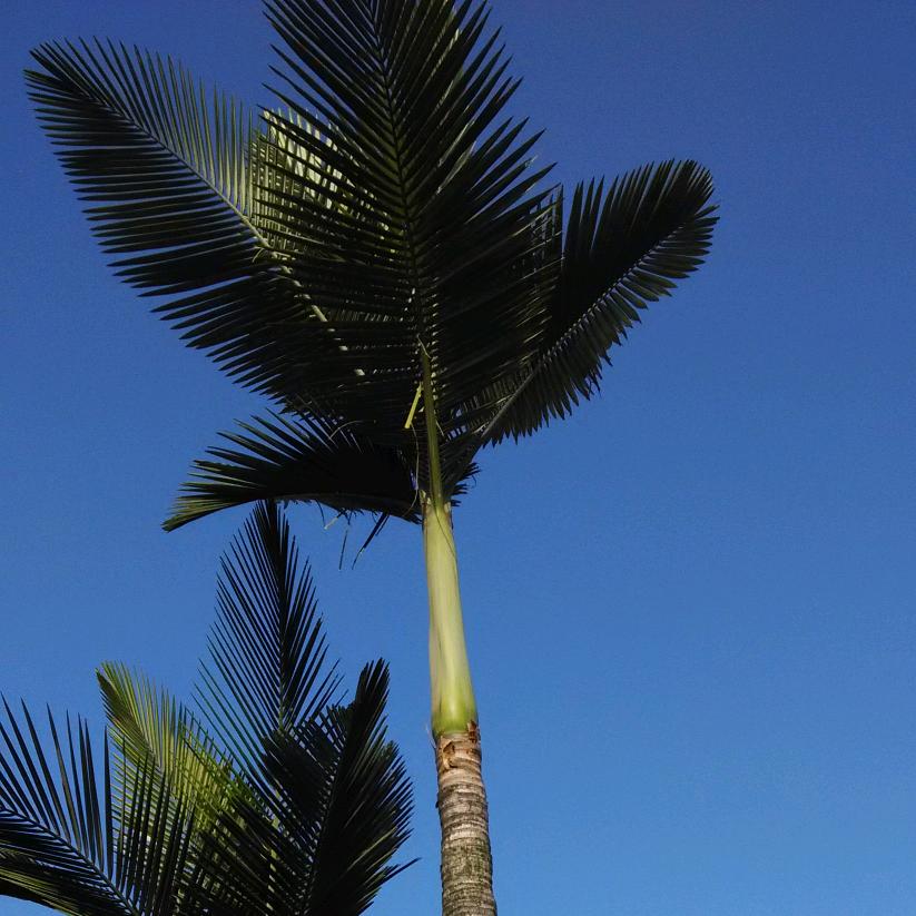 @德玛西亚VIP꧅𒐫꧅𒐫꧅𒐫