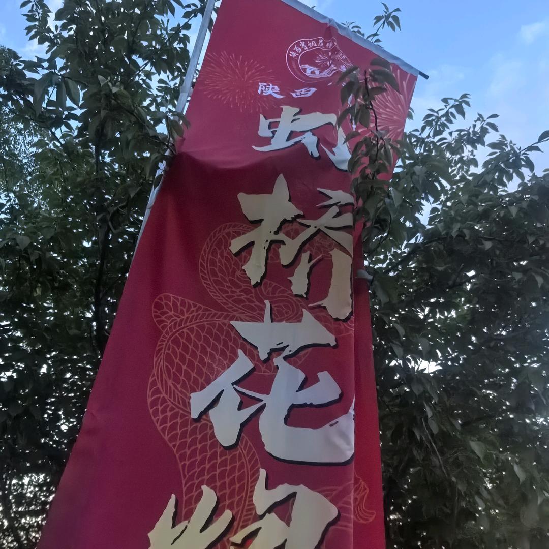 虹桥烟花🎆蒲城