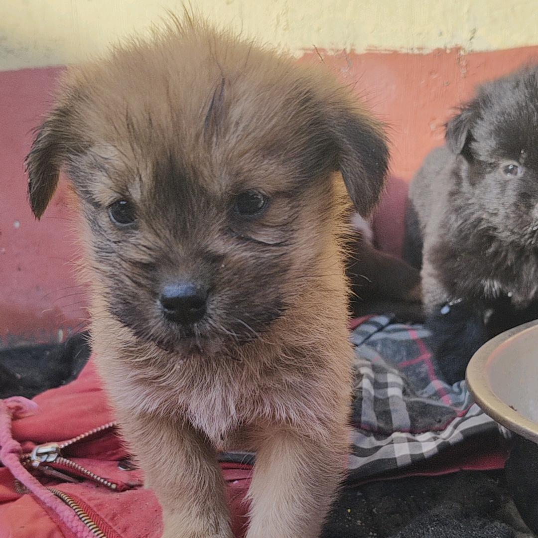 距上极乐学校还有多少天