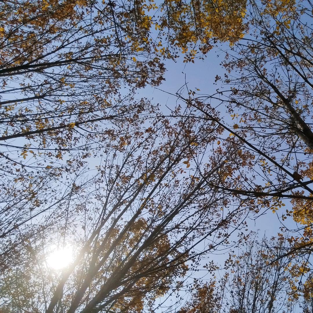 (^.^)我姓罗你呢……