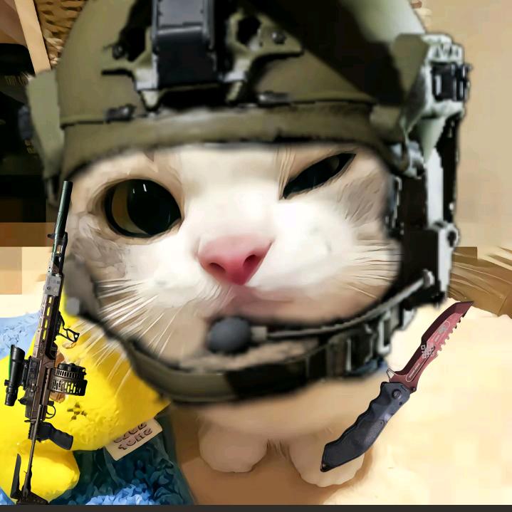 可可（暗区日常）