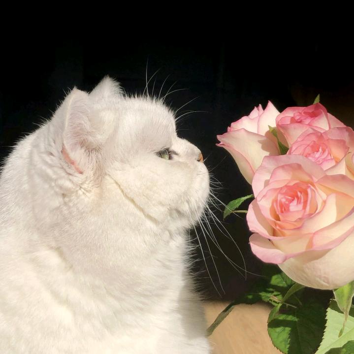 张过过💙