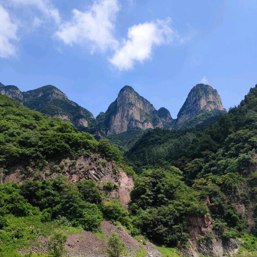 阿林