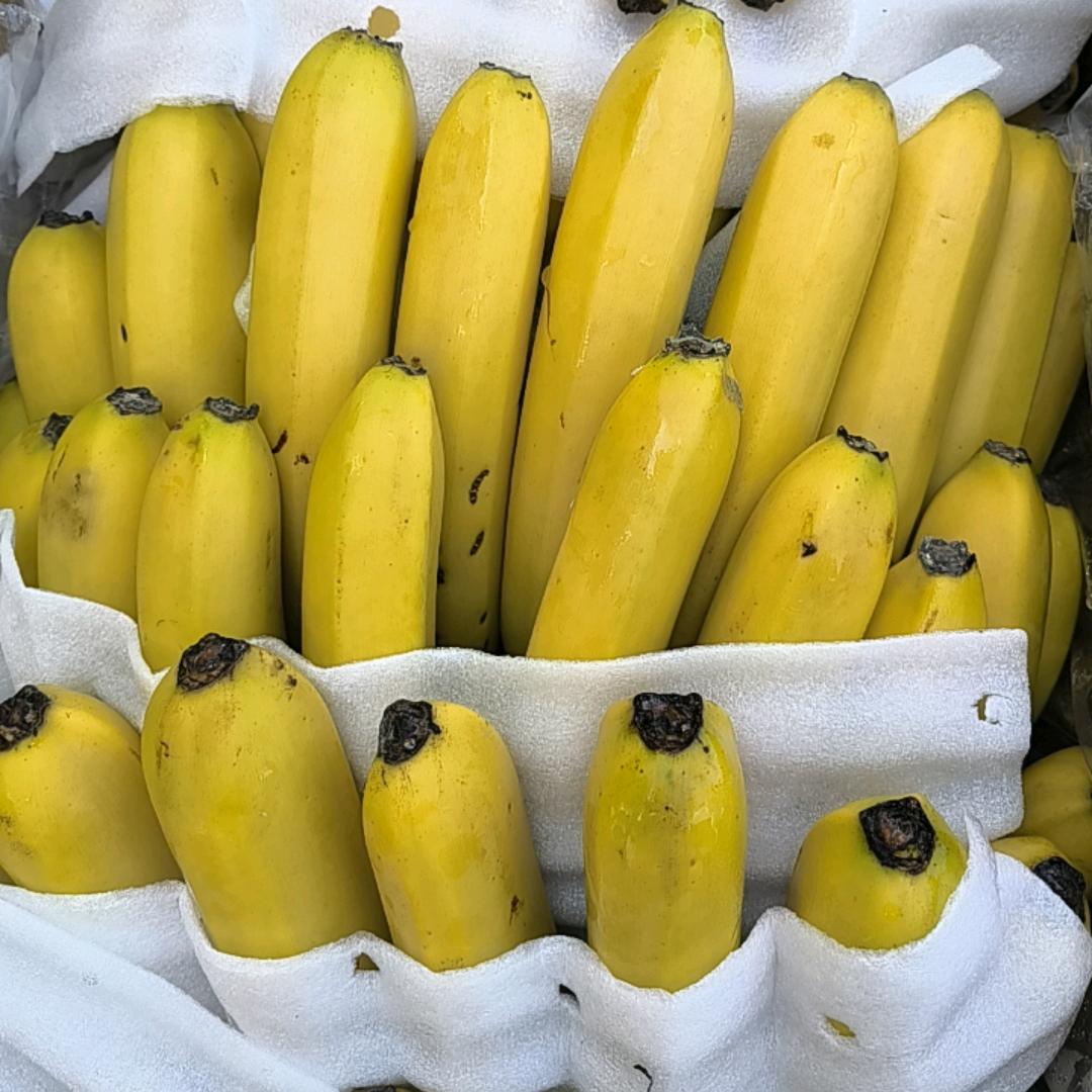 快乐小杨加麻加辣💃💃