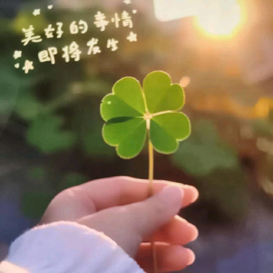 帅哥妈妈头像