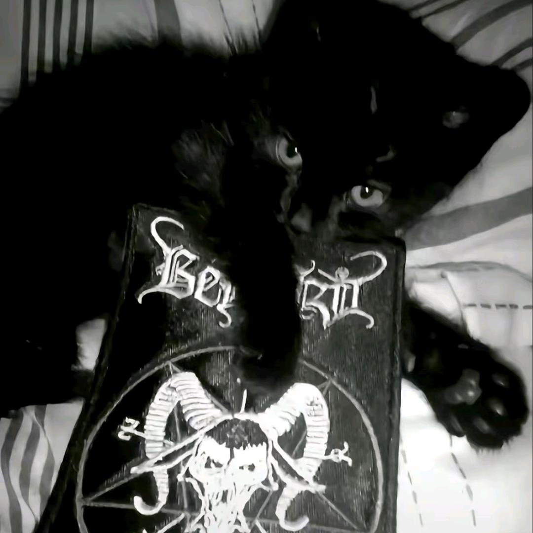 Xiezi.