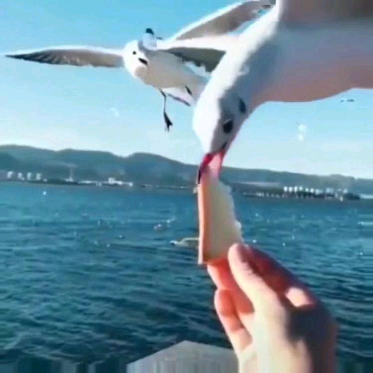阿练