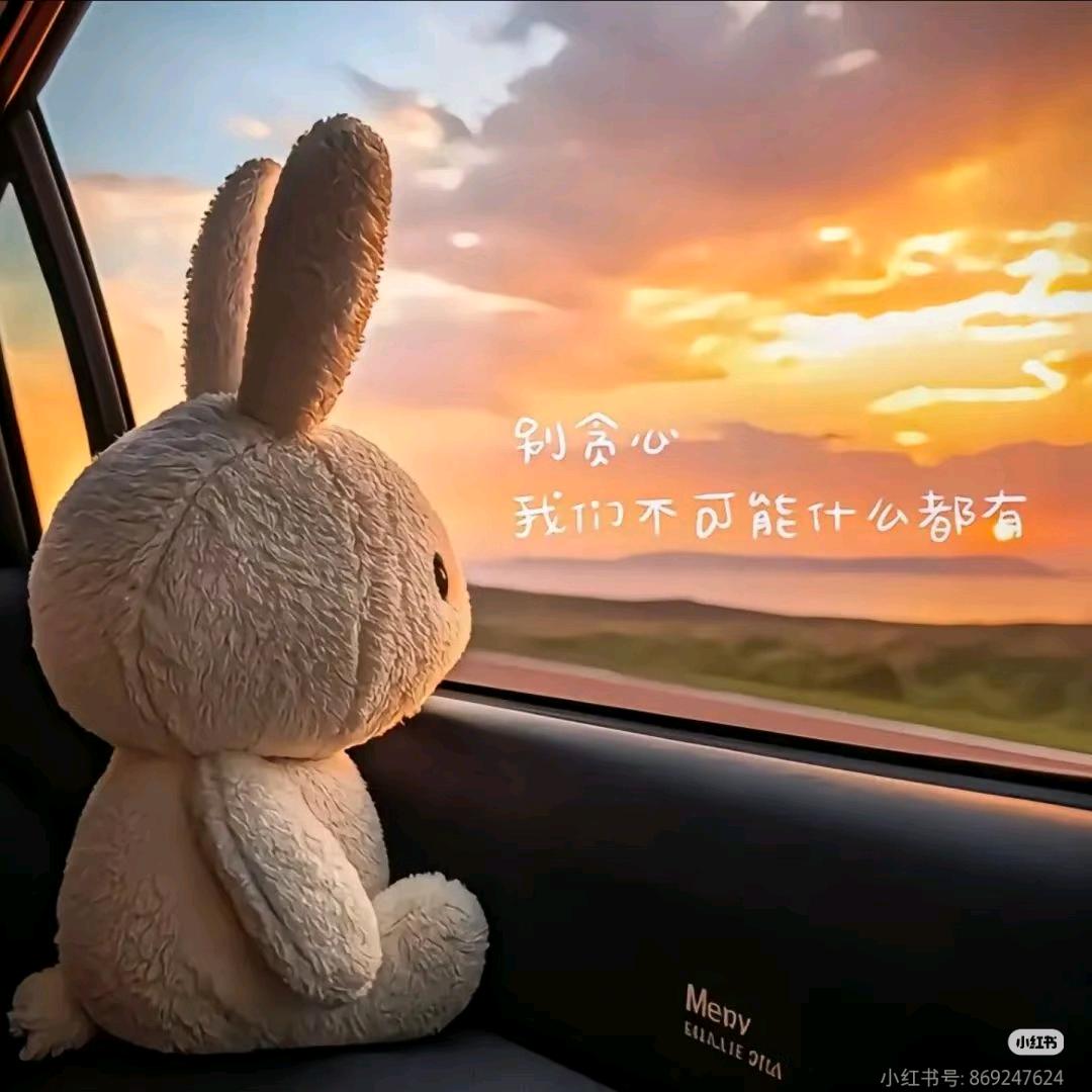 辣椒拌饭