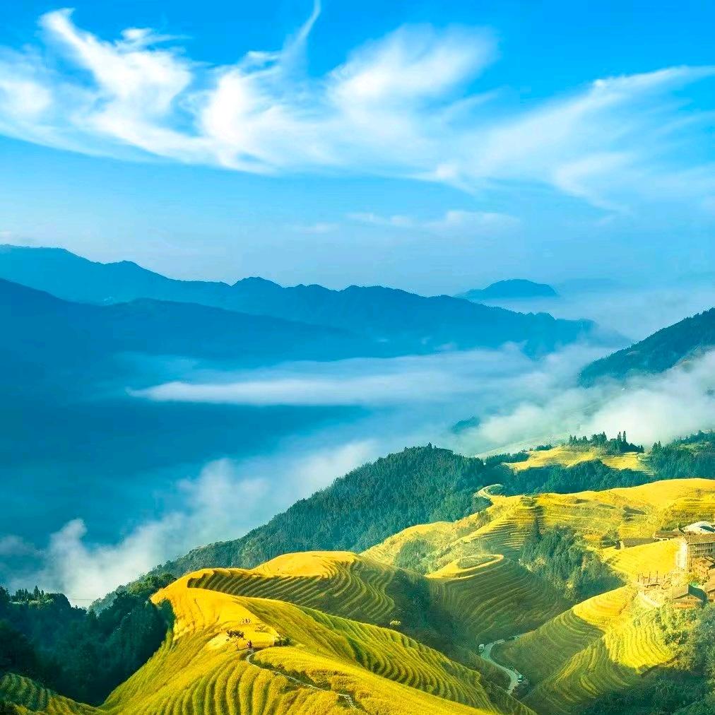 公主爱晨影童鞋专卖店