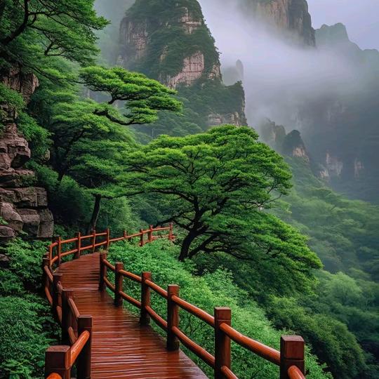 木林森木林