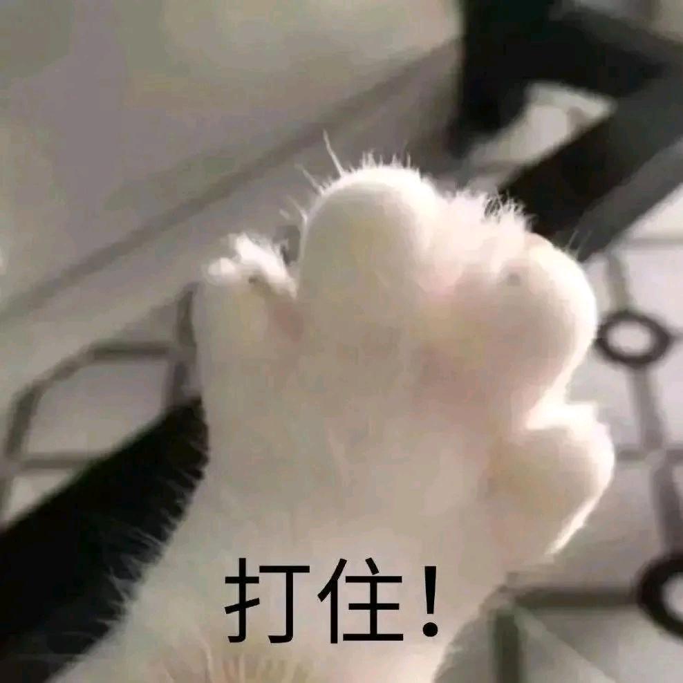 小友道💦