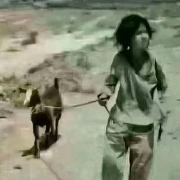 难忘的回忆