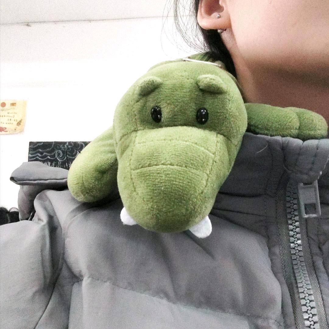 鳄鱼🐊大王