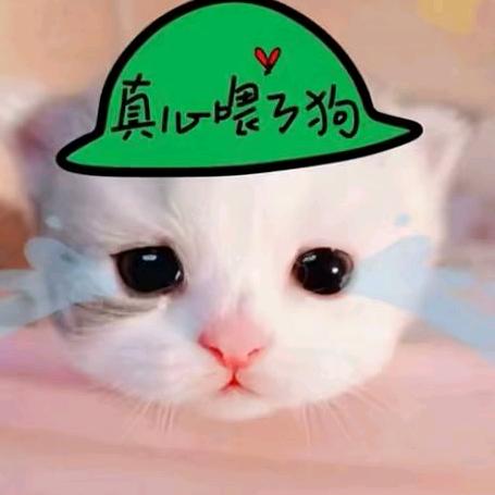 aYuu.