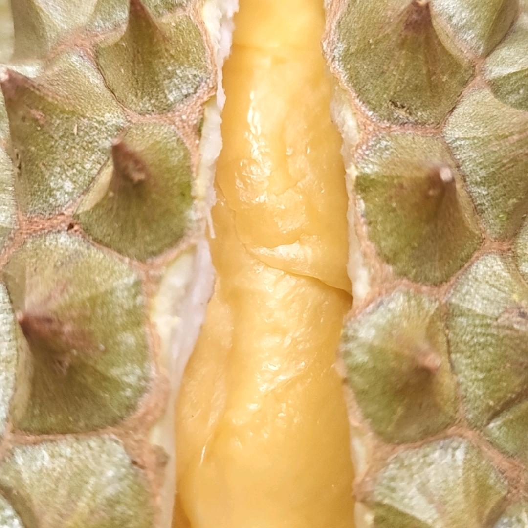 妖有多远滚多远