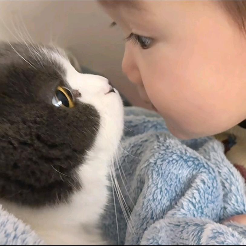 财神爷的小宝贝儿