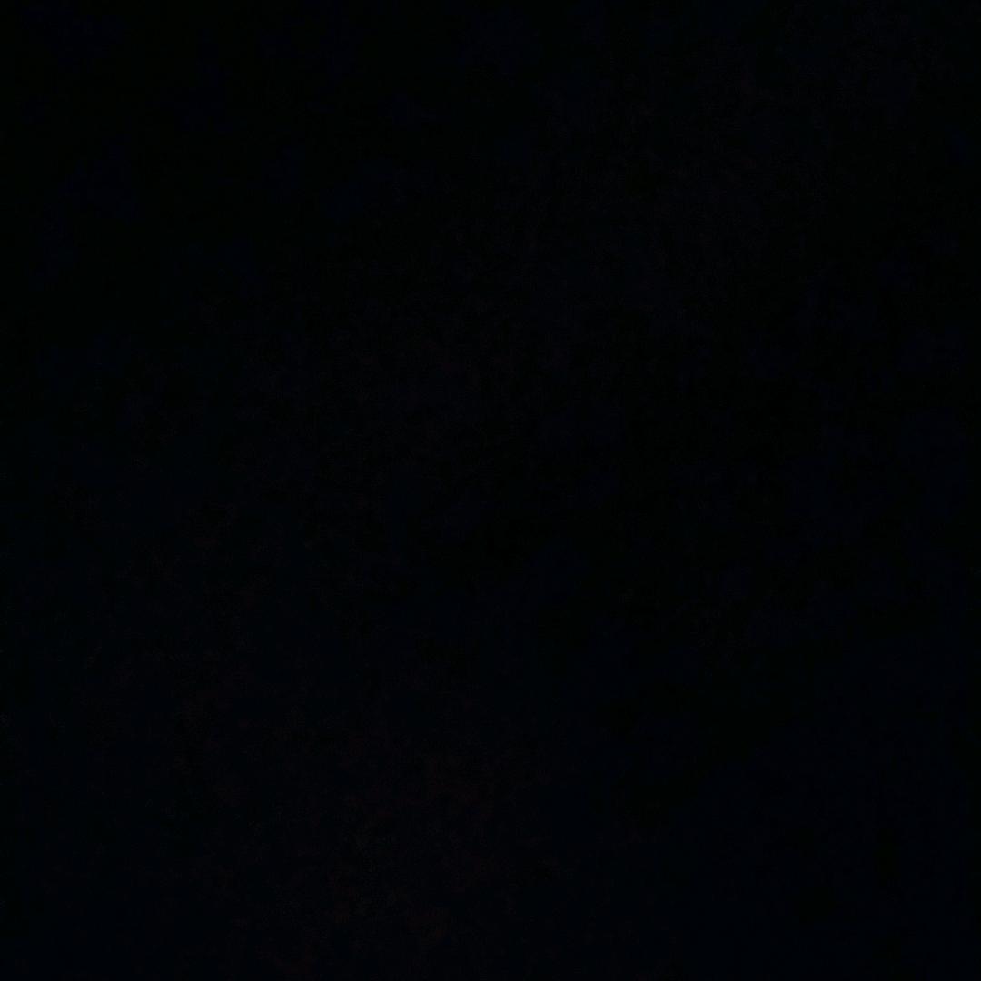 ╭不爱吃香菜💕