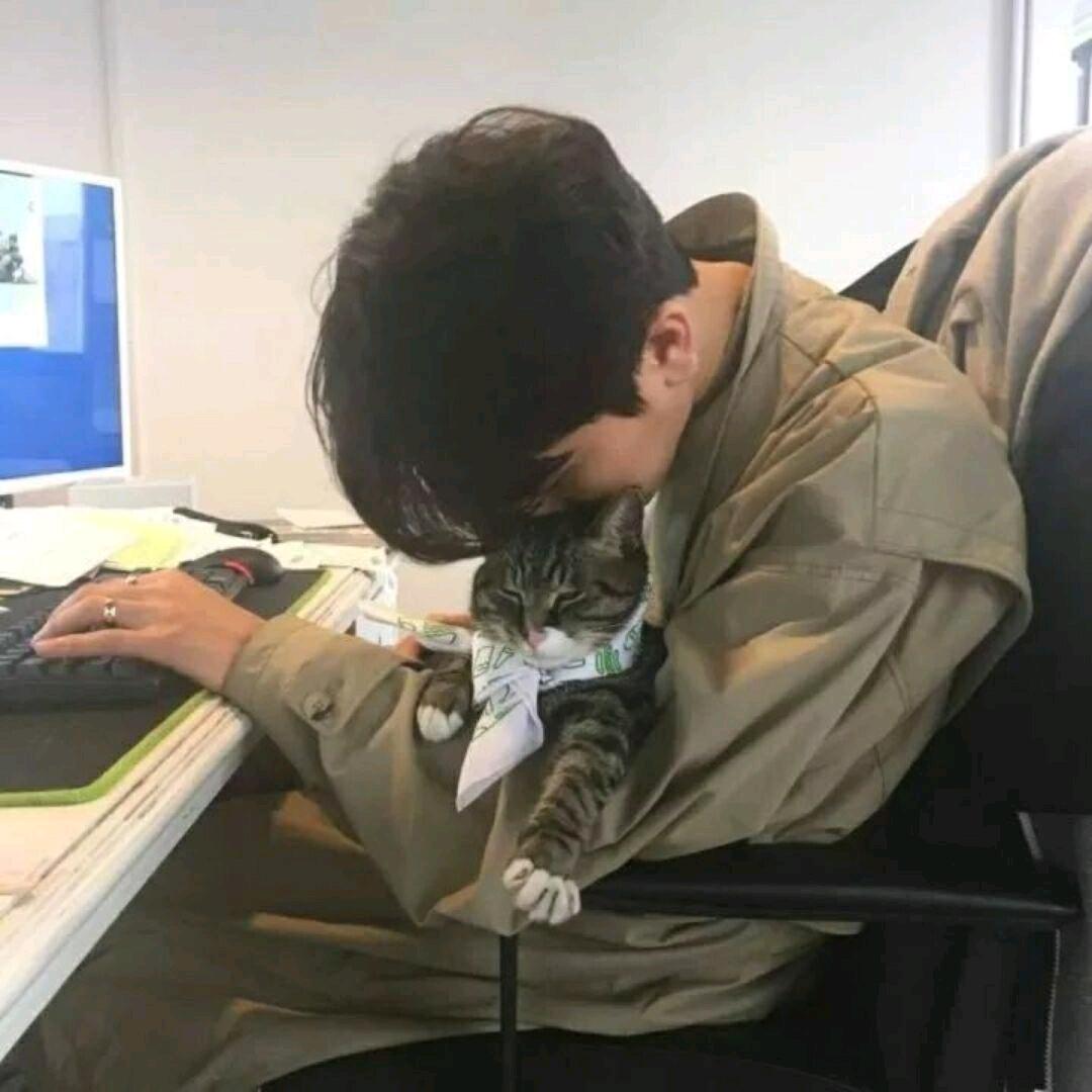 浮沐三生