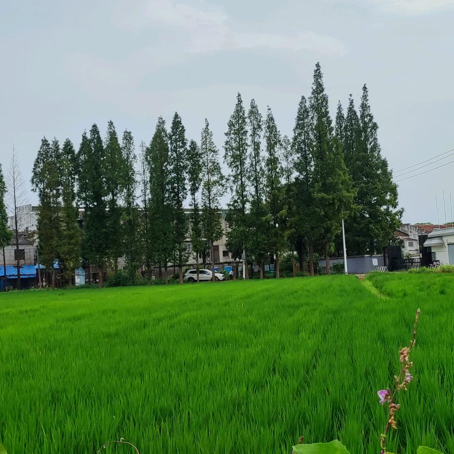 小小