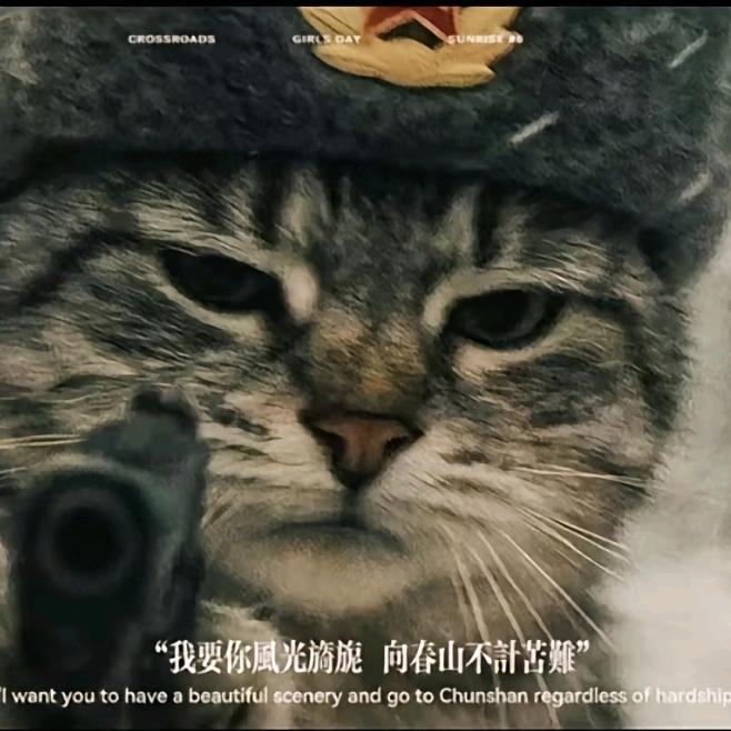梧桐-11