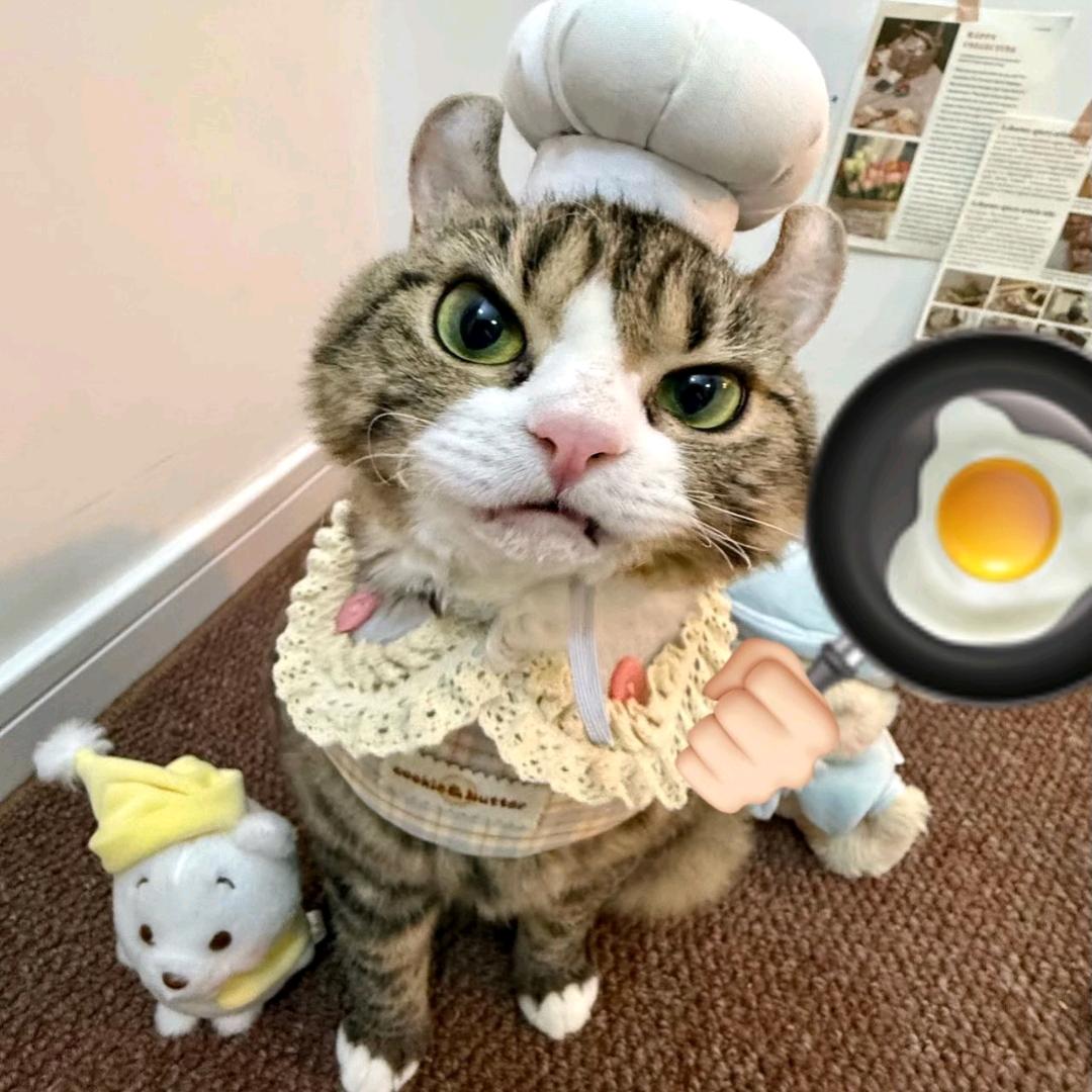 瑀y