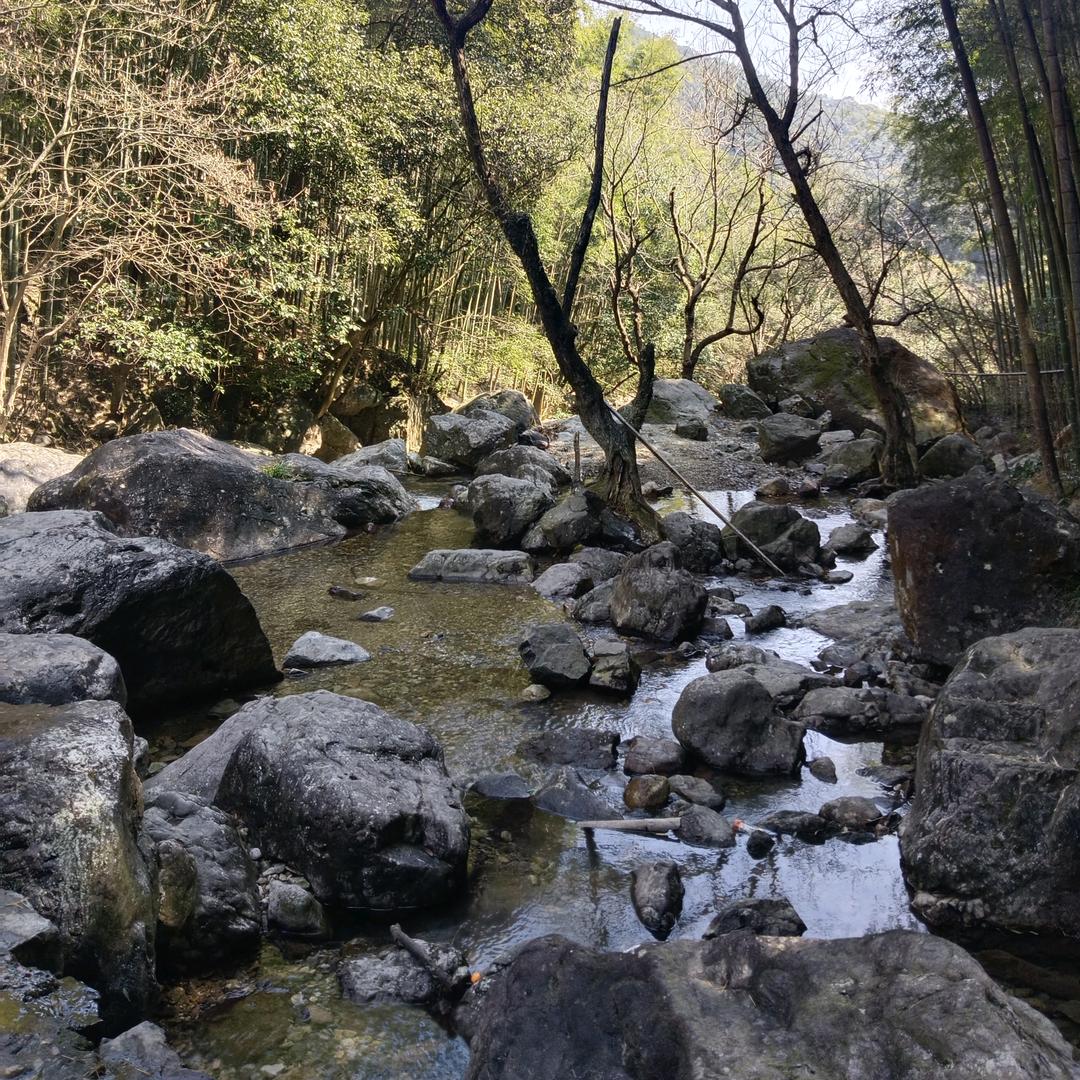 鸿雁长飞光不度