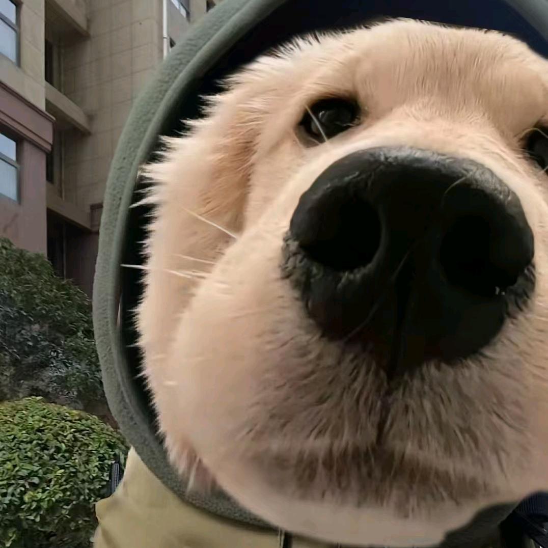 青青草堂懒大王