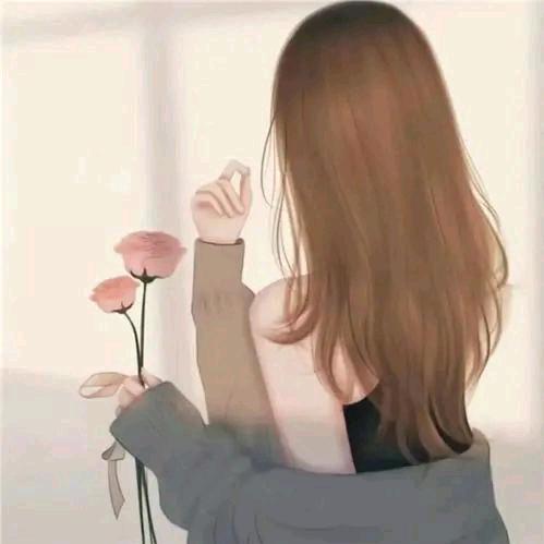 Y Z