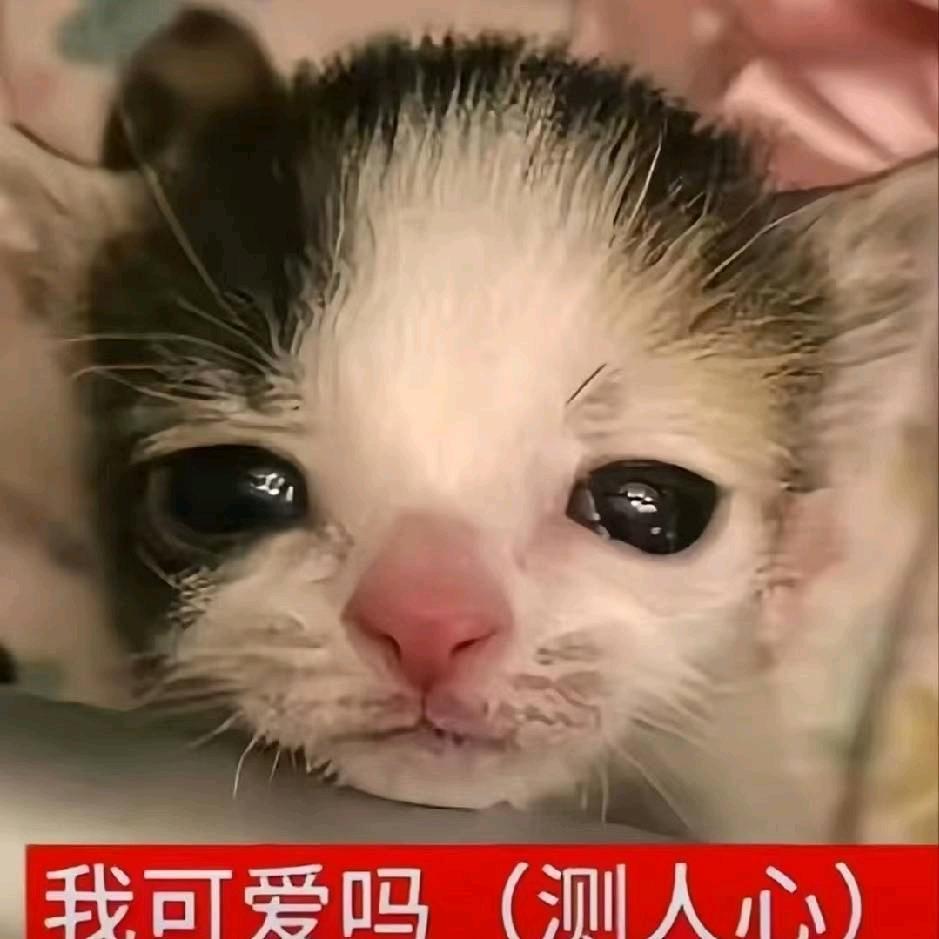 小佑网恋牛照被群发