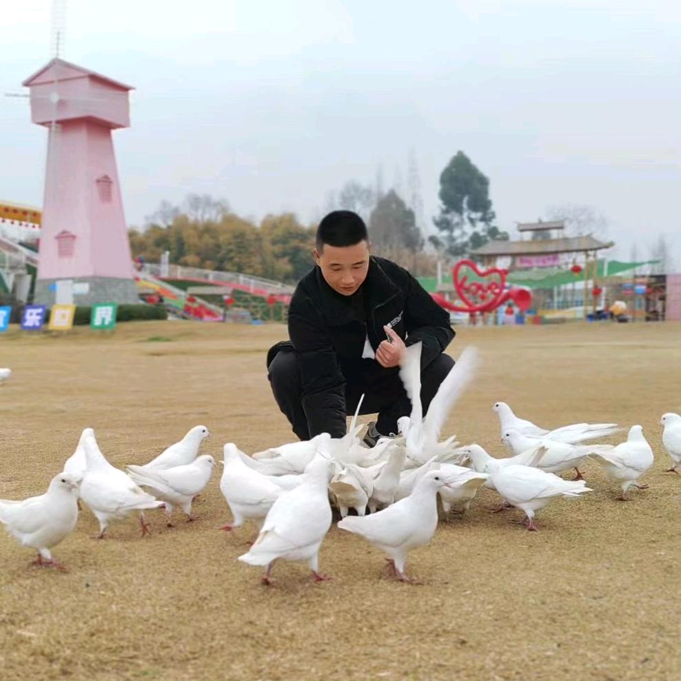 吴先生