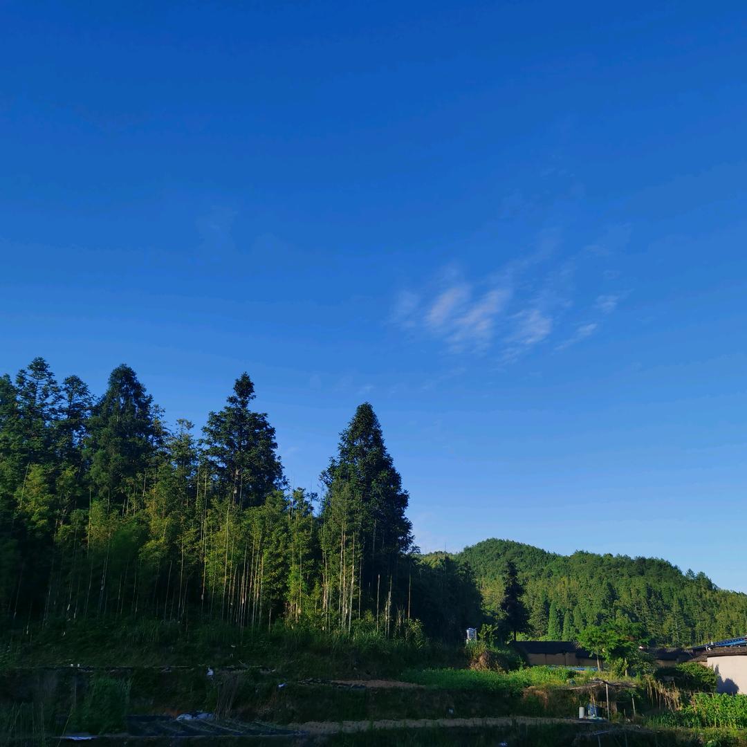 余海燕与闽之艳的故事