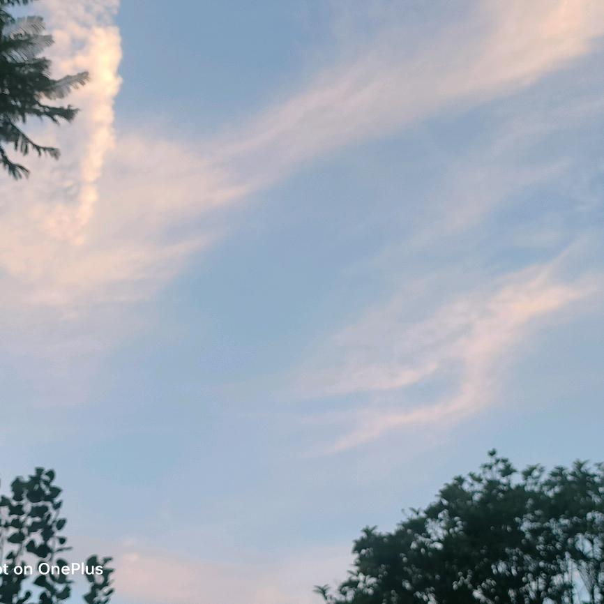 墨夏*