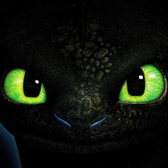 FoxDog（三角洲手游菜鸟）