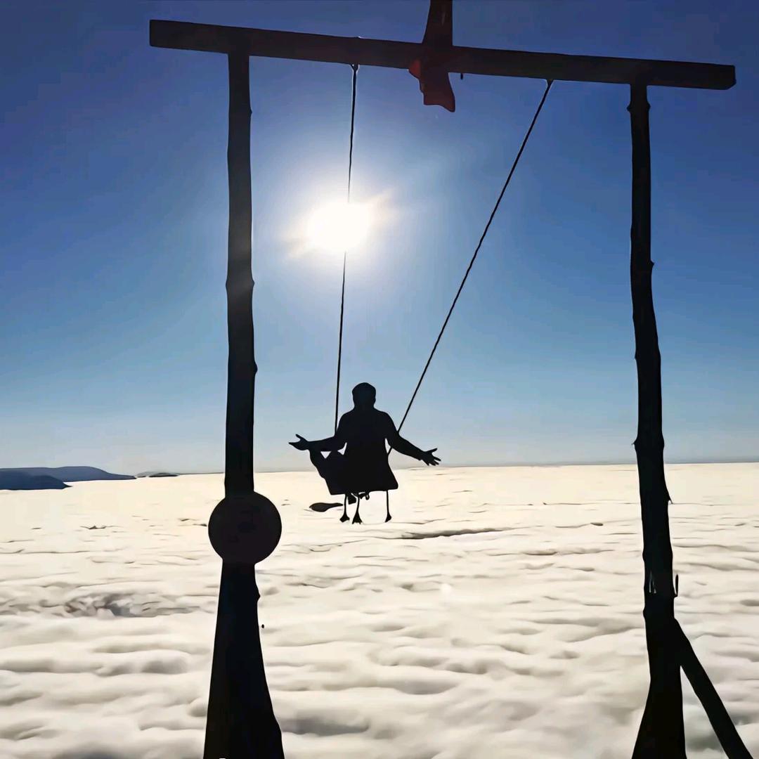 【Z.Y】～🇨🇳