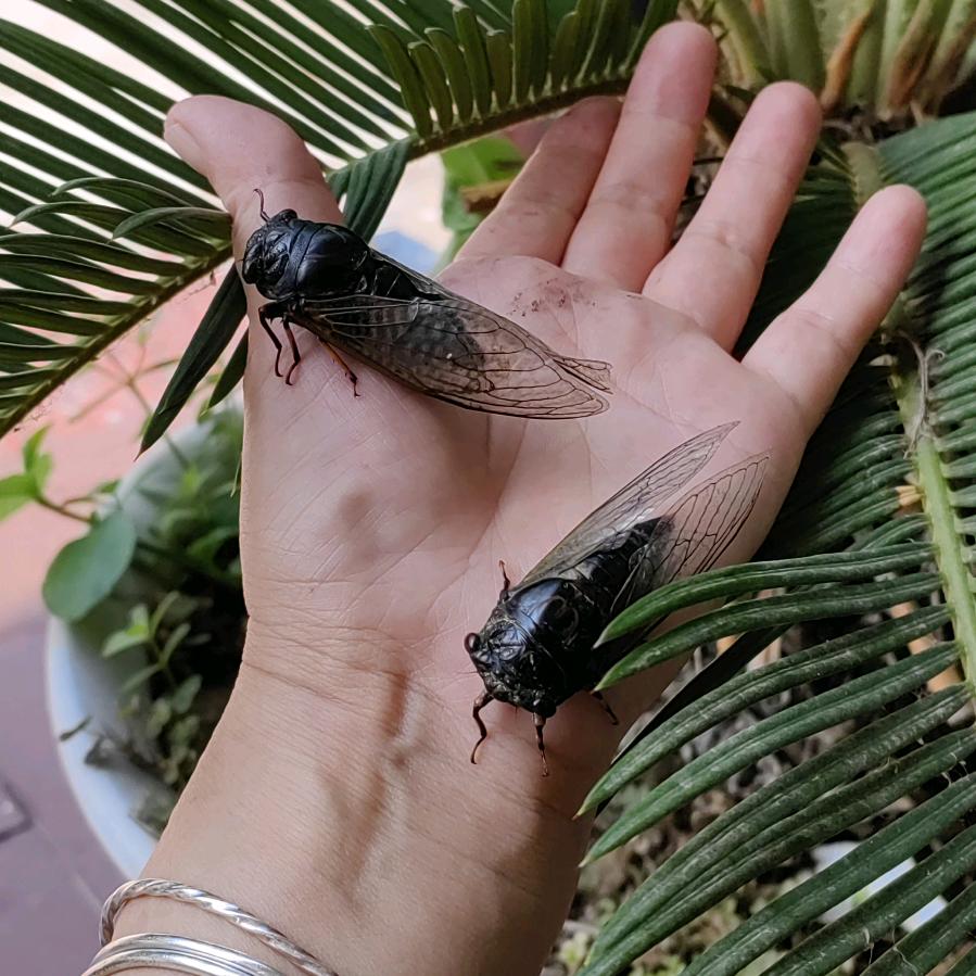 福宝零食的头像