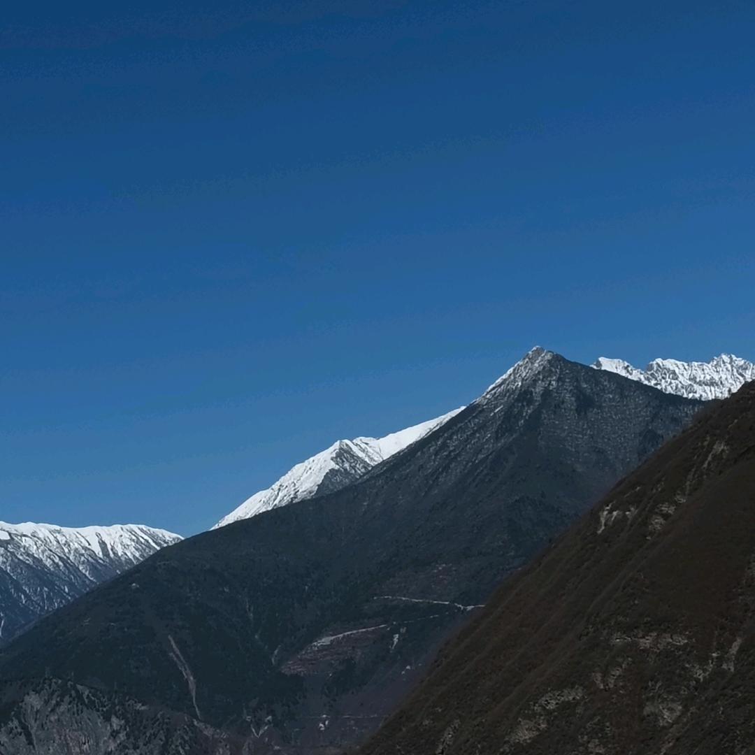 自渡自愈