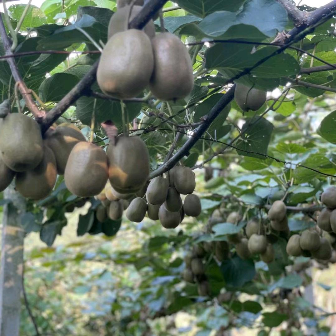 努力就会越来越好