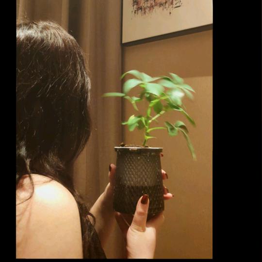 S某某o