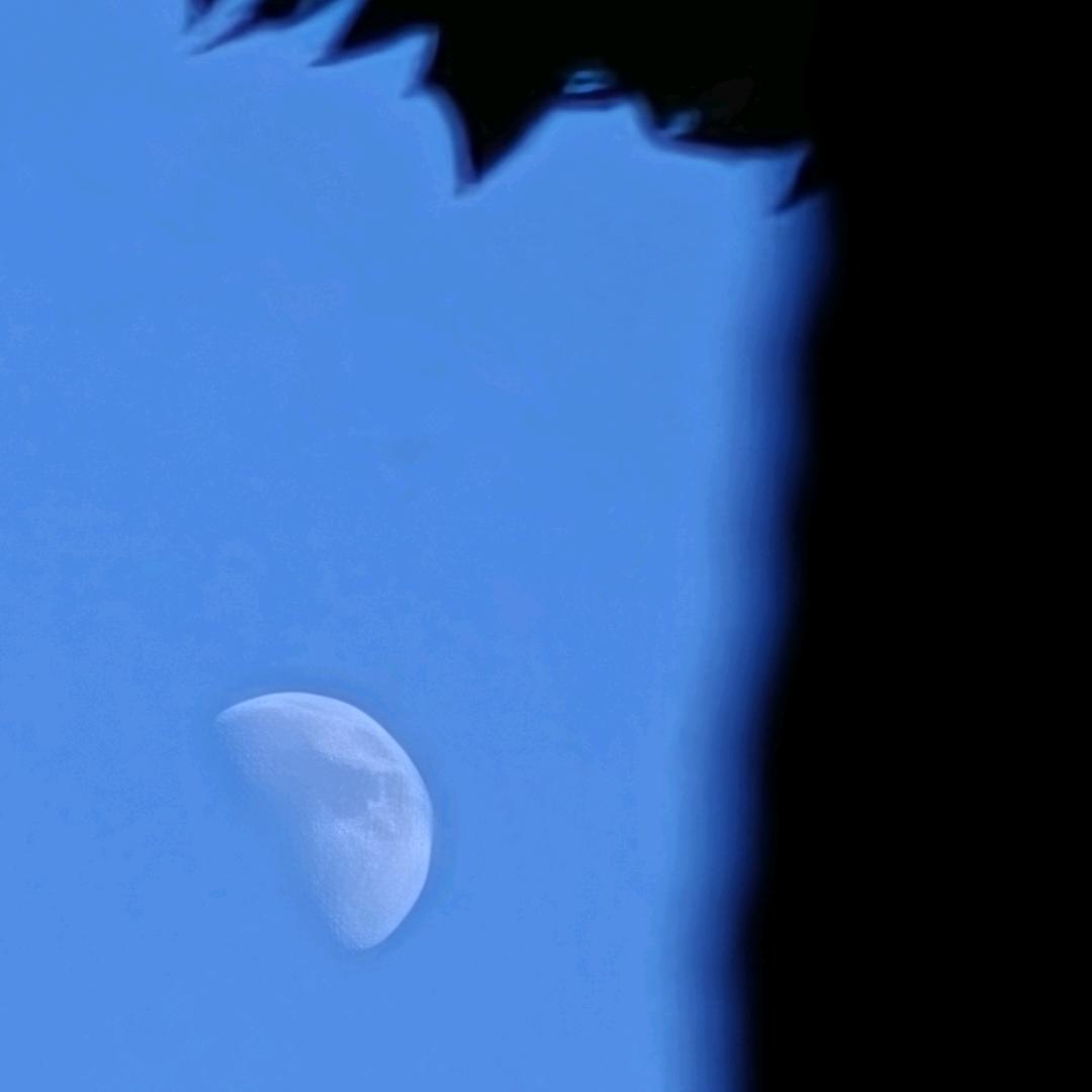 小汪的细节集