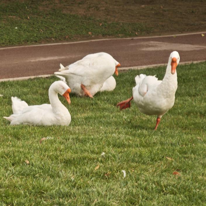 ❤️💕💞💓💗💖