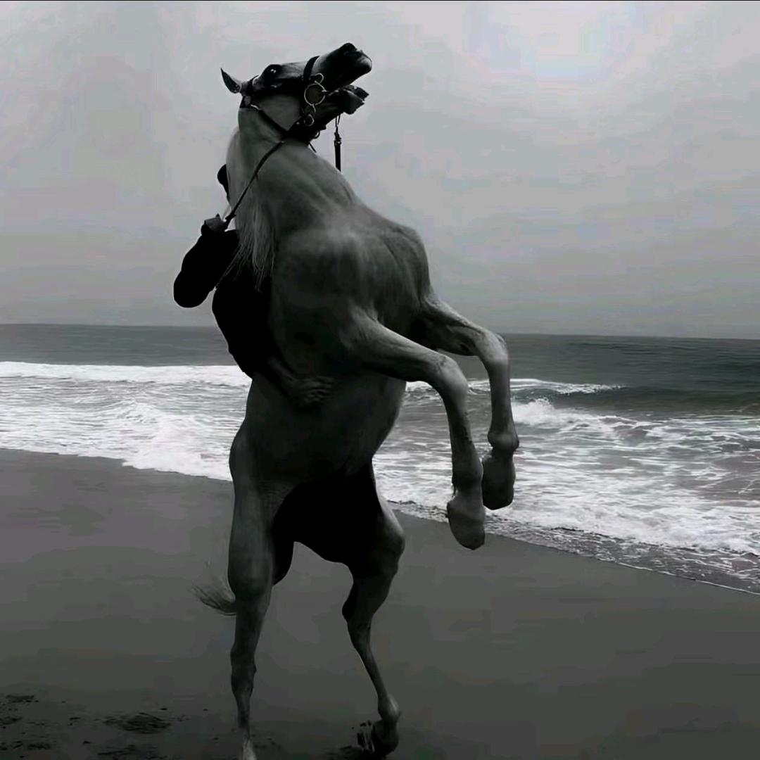 16.