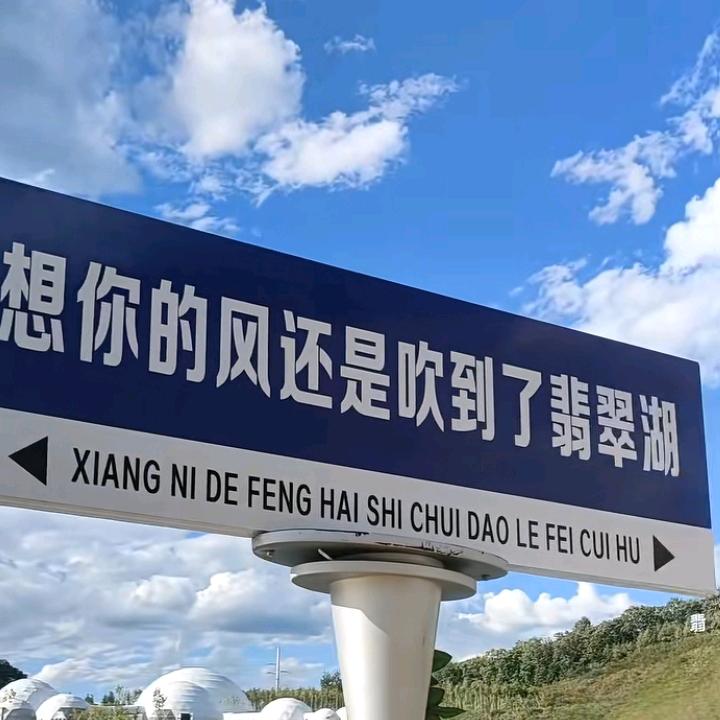 枫叶🍁