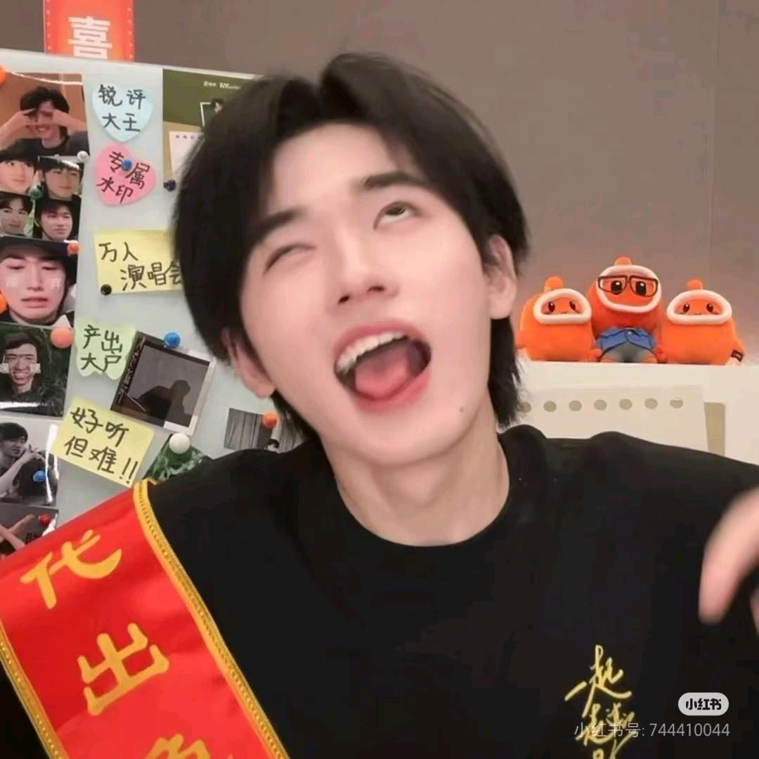 是扶辰不是拂尘