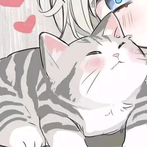 🐟🍊❤️🐈🐈