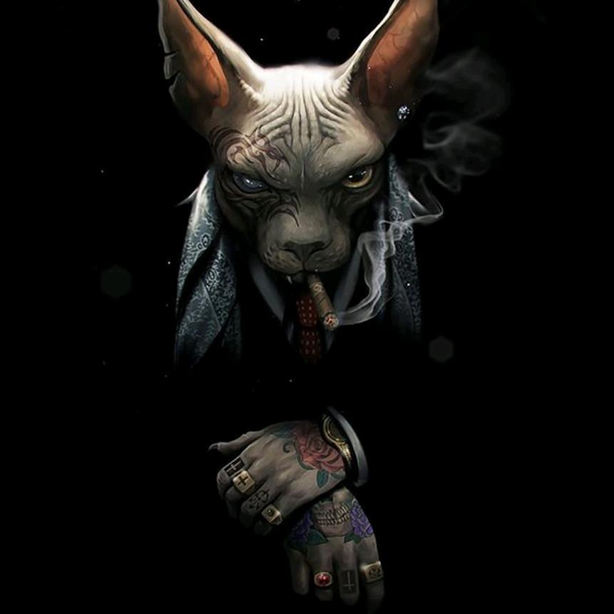 。。。。。。。。。。