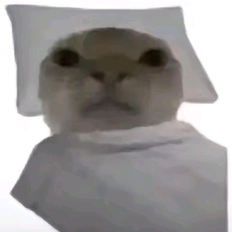 我智商有问题（cs2）