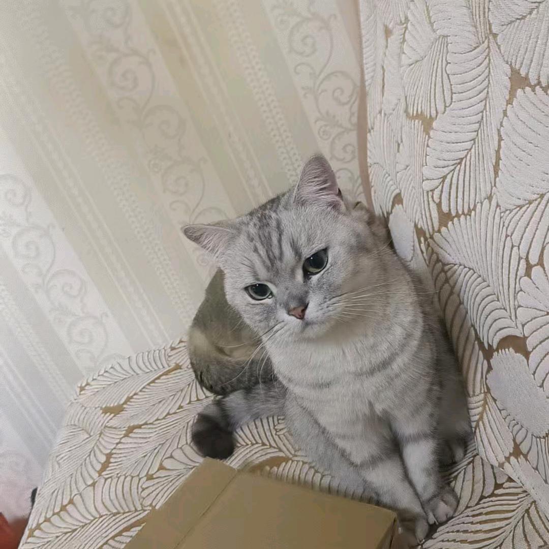 无易（三角洲跑刀）